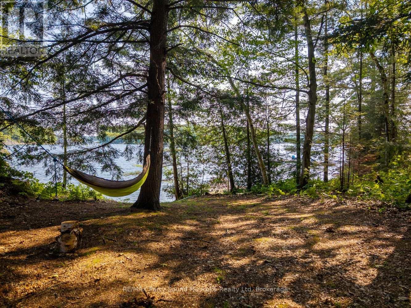 47 Island 65c Island, Carling, Ontario  P0G 1G0 - Photo 46 - X12348430