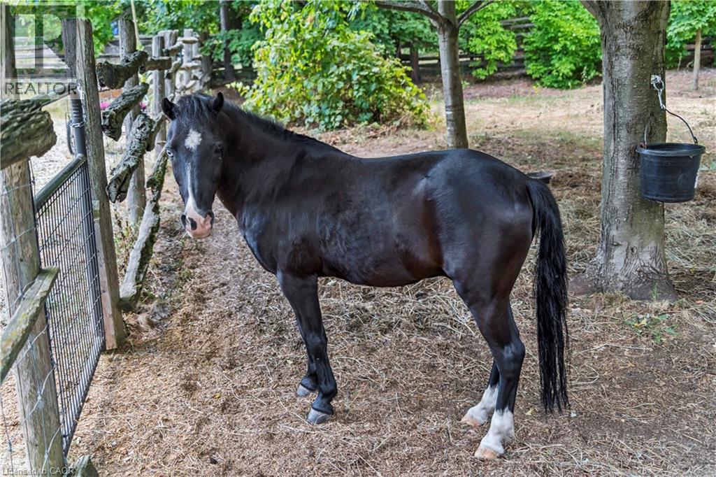 6216 Sunnidale Tosorontio Townline, Glencairn, Ontario  L0M 1K0 - Photo 38 - 40761016