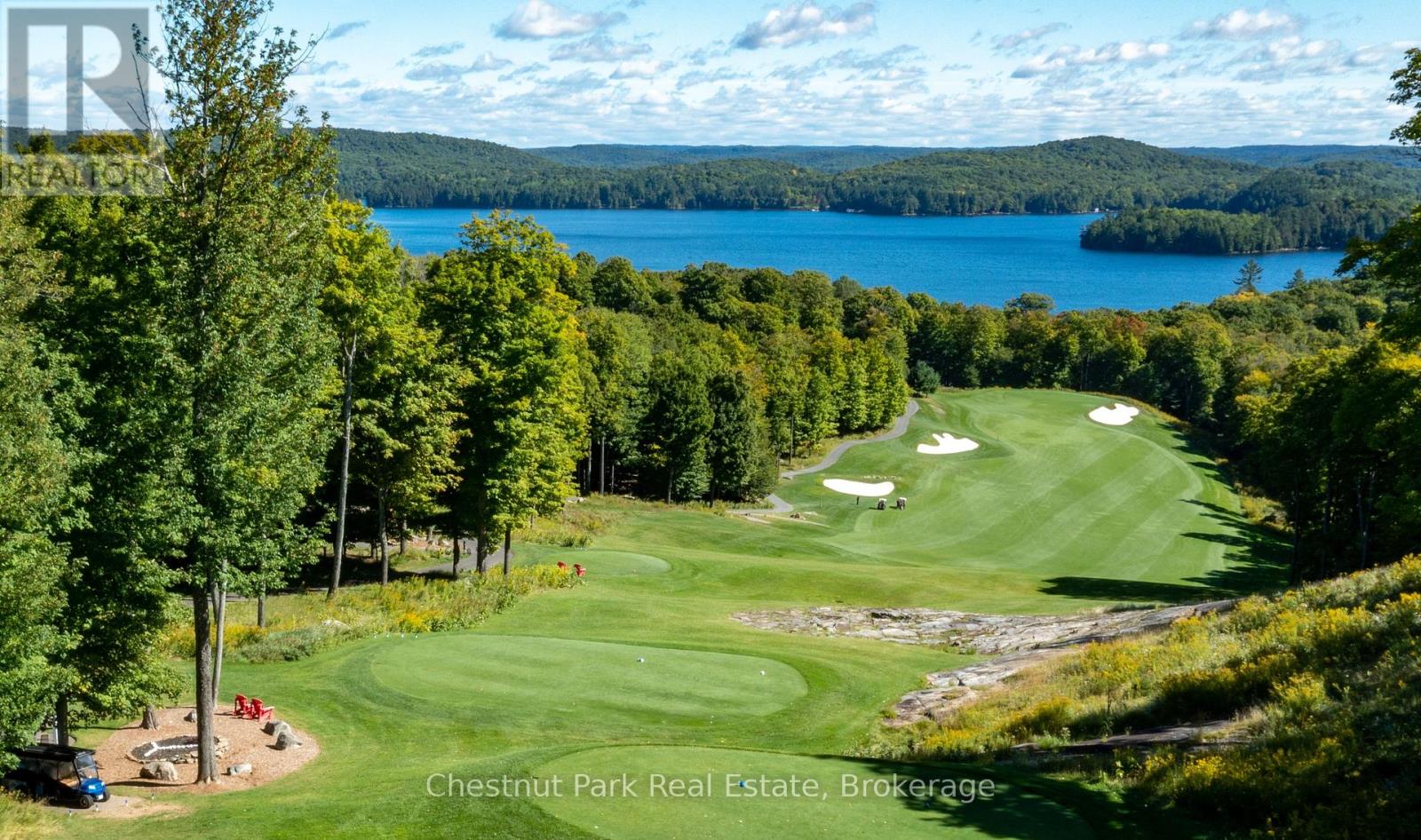 66 Bigwin Island, Lake Of Bays, Ontario  P0B 1A0 - Photo 10 - X12350285