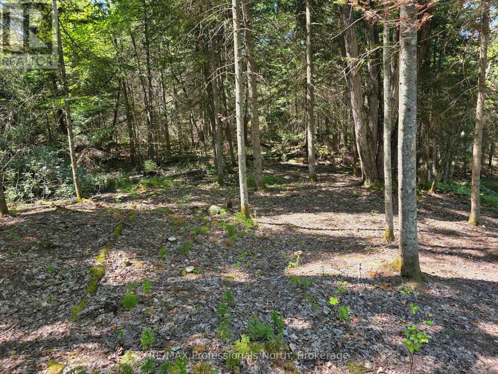 00 Whitney Road, Perry, Ontario  P0A 1R0 - Photo 10 - X12350936