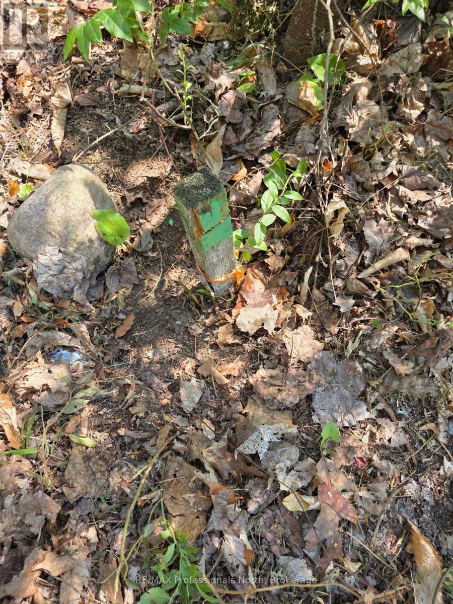 00 Whitney Road, Perry, Ontario  P0A 1R0 - Photo 12 - X12350936