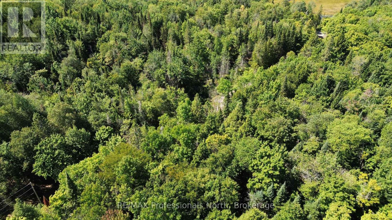 00 Whitney Road, Perry, Ontario  P0A 1R0 - Photo 15 - X12350936