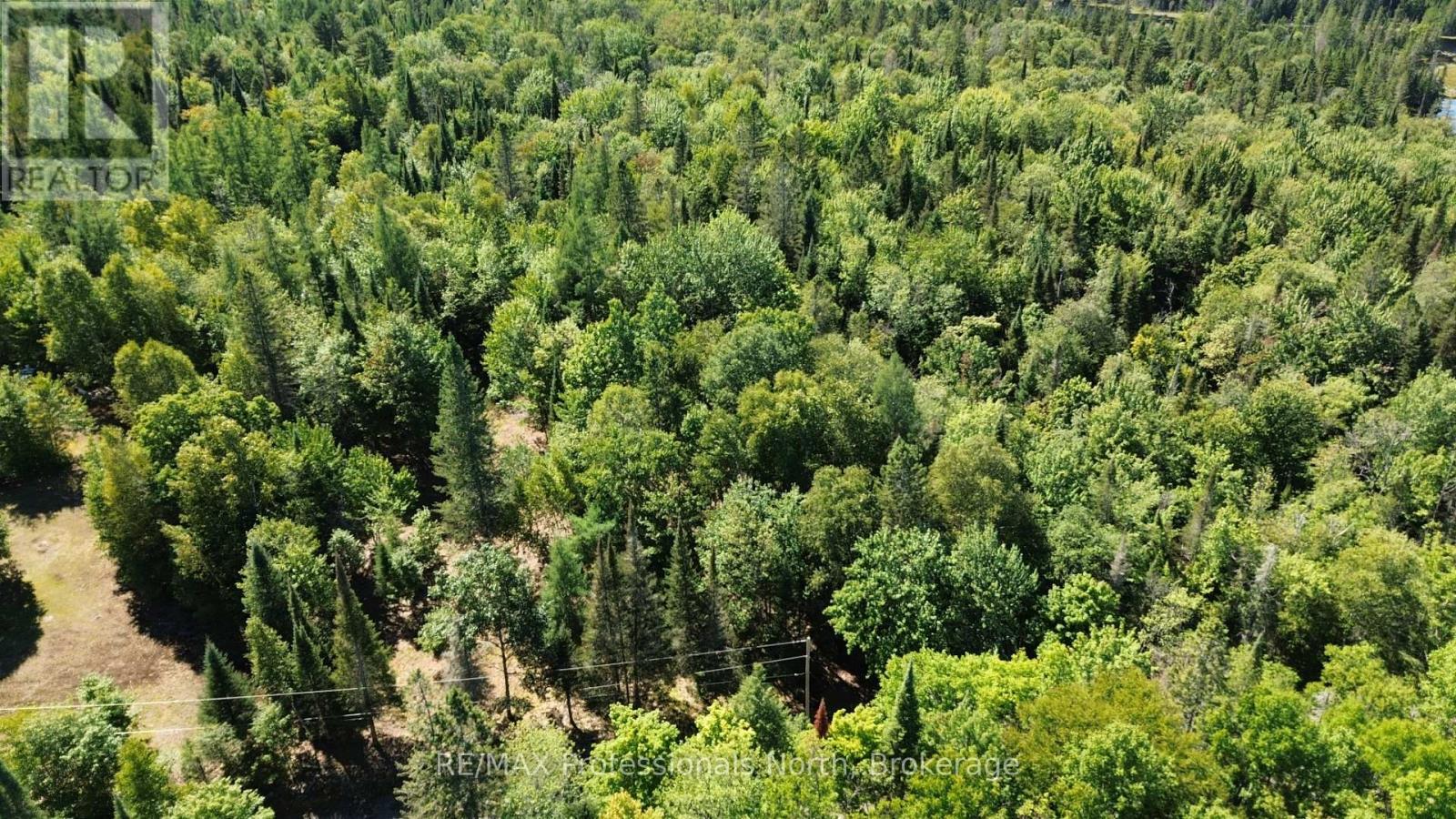 00 Whitney Road, Perry, Ontario  P0A 1R0 - Photo 16 - X12350936