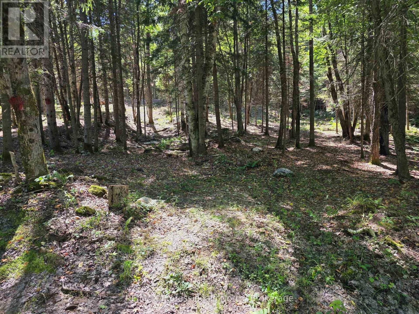 00 Whitney Road, Perry, Ontario  P0A 1R0 - Photo 2 - X12350936