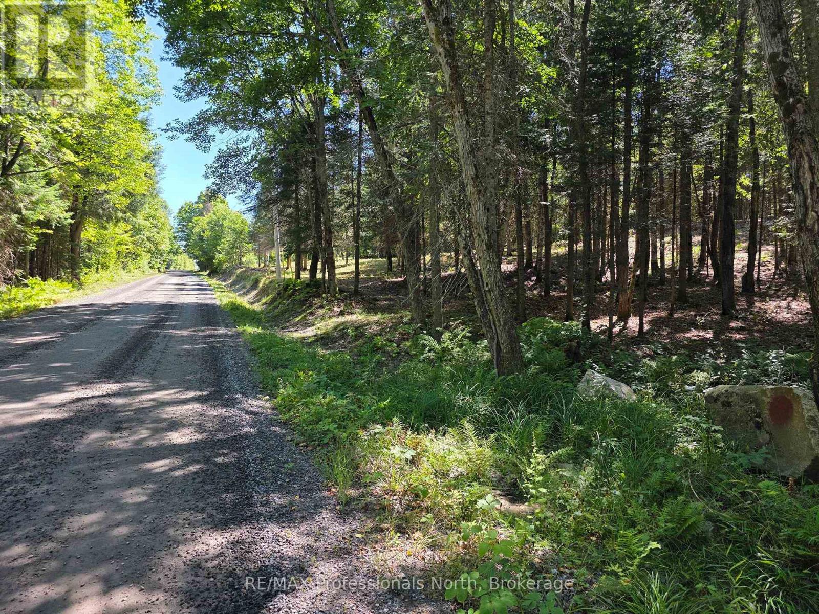 00 Whitney Road, Perry, Ontario  P0A 1R0 - Photo 3 - X12350936