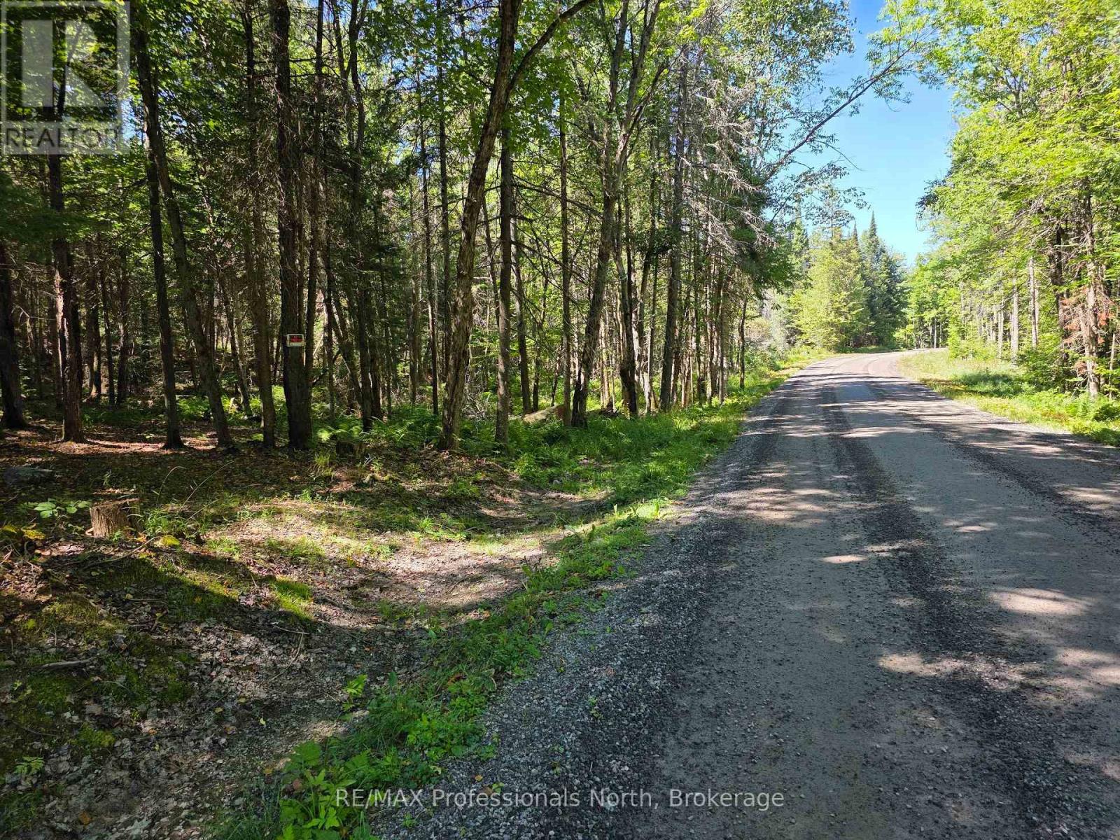 00 Whitney Road, Perry, Ontario  P0A 1R0 - Photo 4 - X12350936