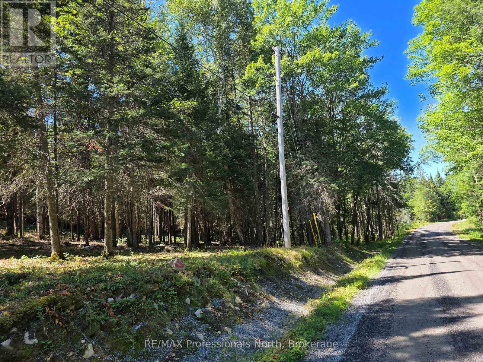 00 Whitney Road, Perry, Ontario  P0A 1R0 - Photo 5 - X12350936