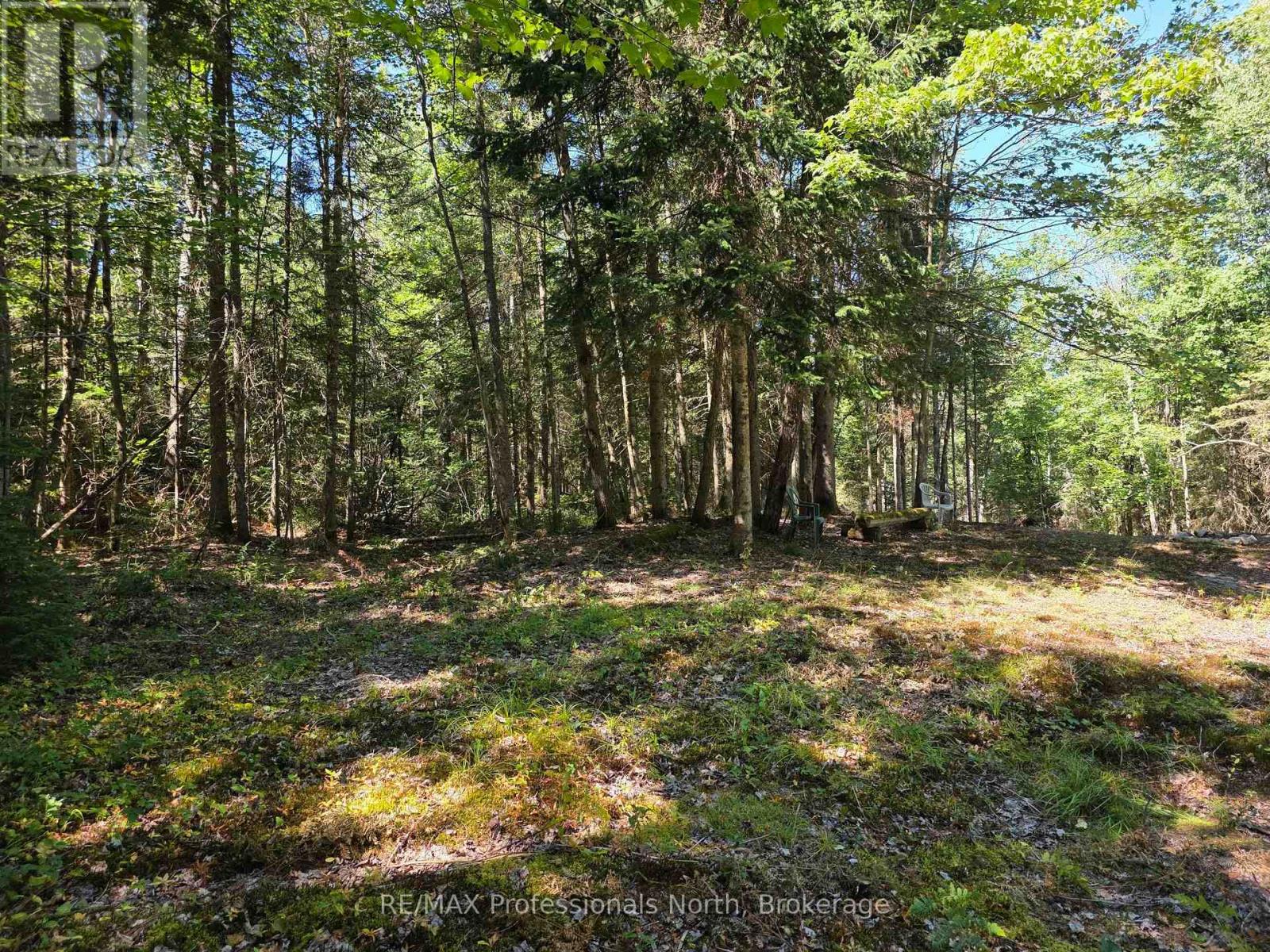 00 Whitney Road, Perry, Ontario  P0A 1R0 - Photo 7 - X12350936