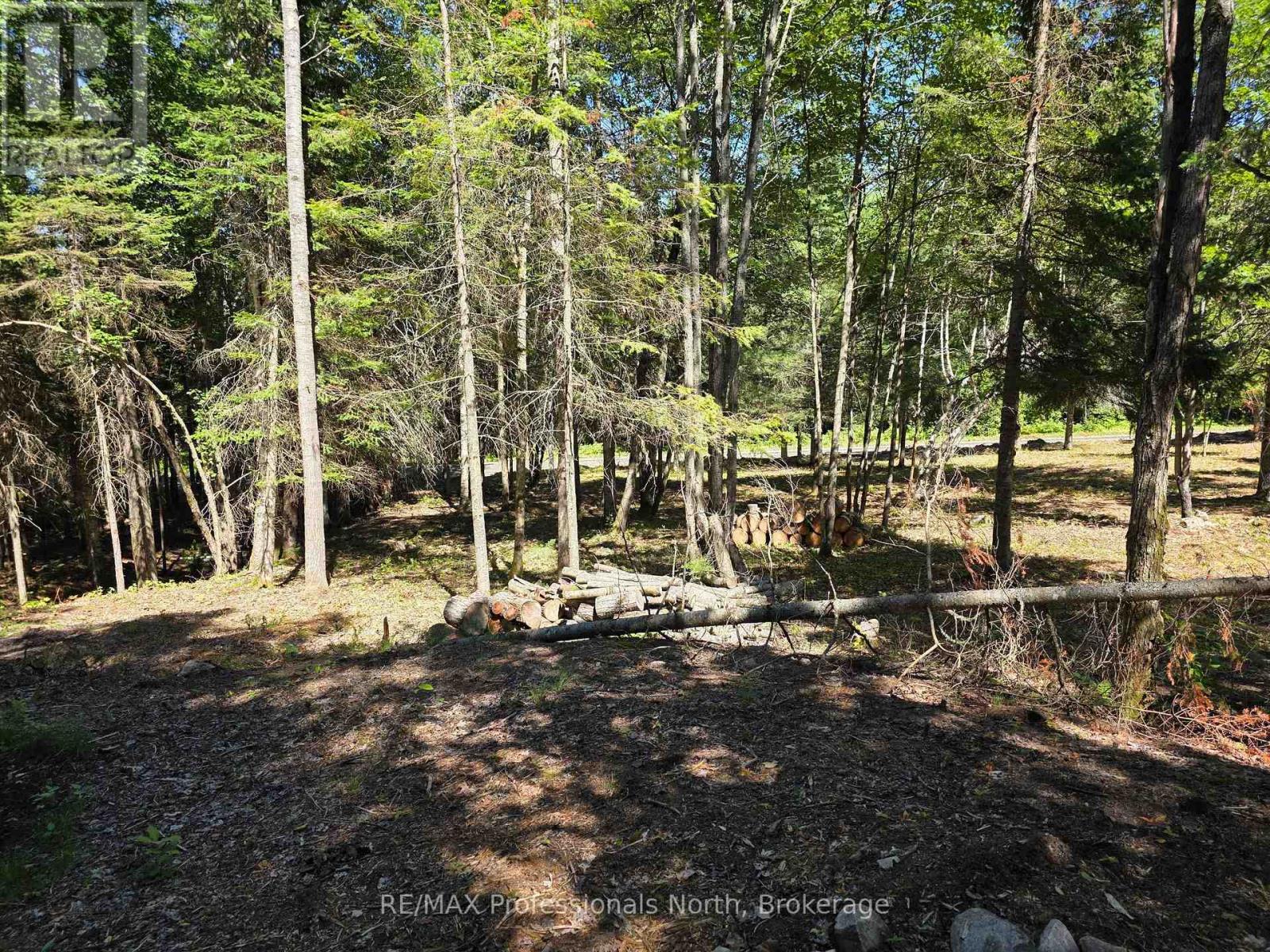 00 Whitney Road, Perry, Ontario  P0A 1R0 - Photo 9 - X12350936