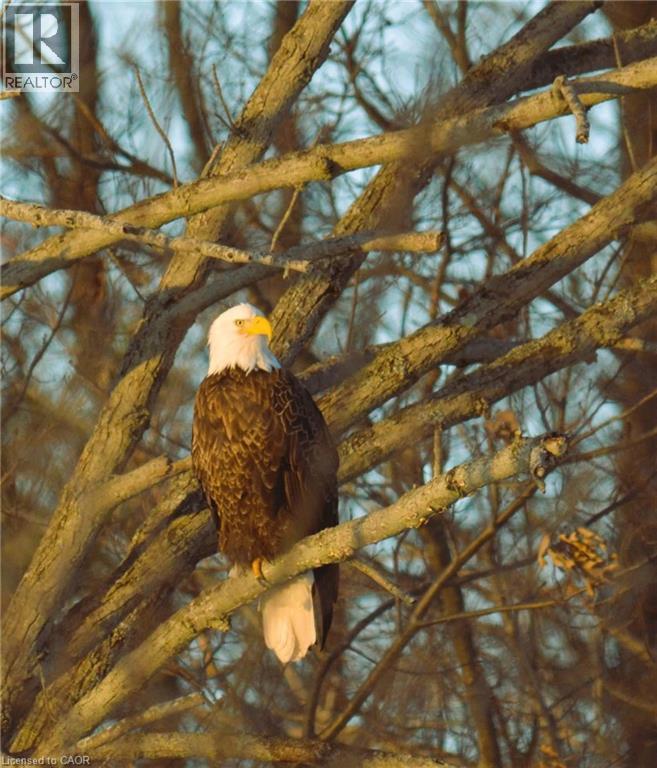 55 Riverbend Crescent, Nanticoke, Ontario  N0A 1L0 - Photo 47 - 40761735