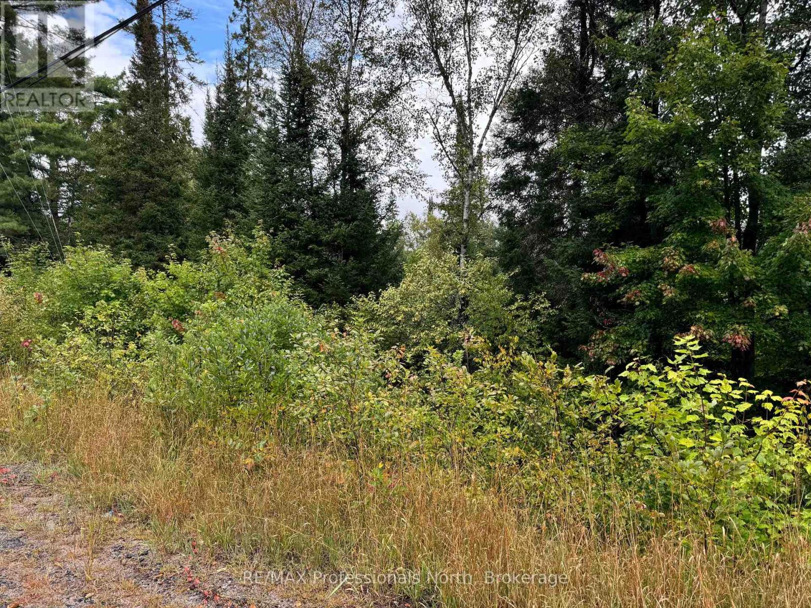 0 592, Perry, Ontario  P0A 1J0 - Photo 3 - X12353623