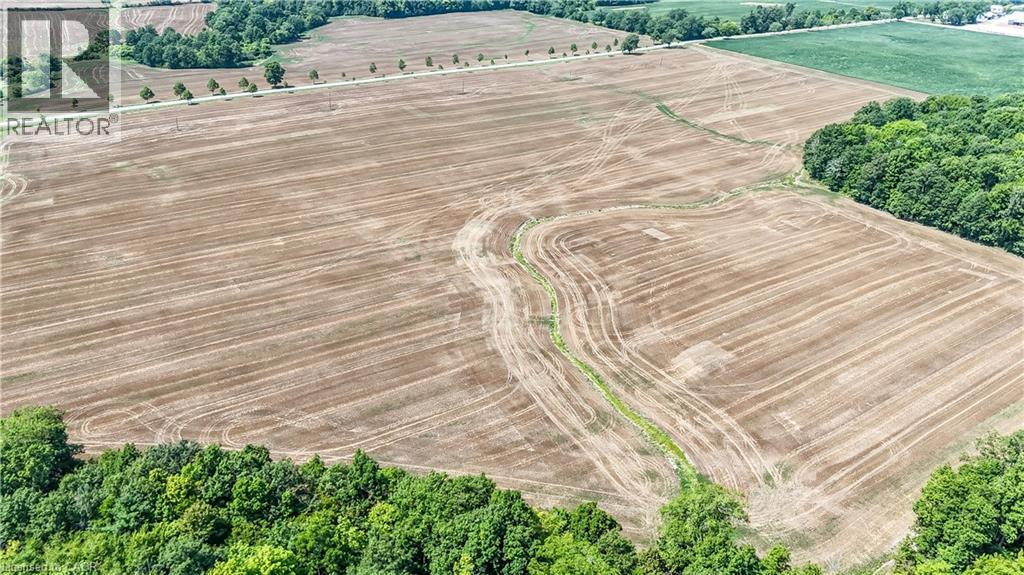 304 Turnbull Road, Canfield, Ontario  N0A 1C0 - Photo 25 - 40759968