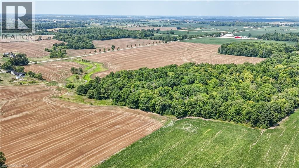 304 Turnbull Road, Canfield, Ontario  N0A 1C0 - Photo 8 - 40759968