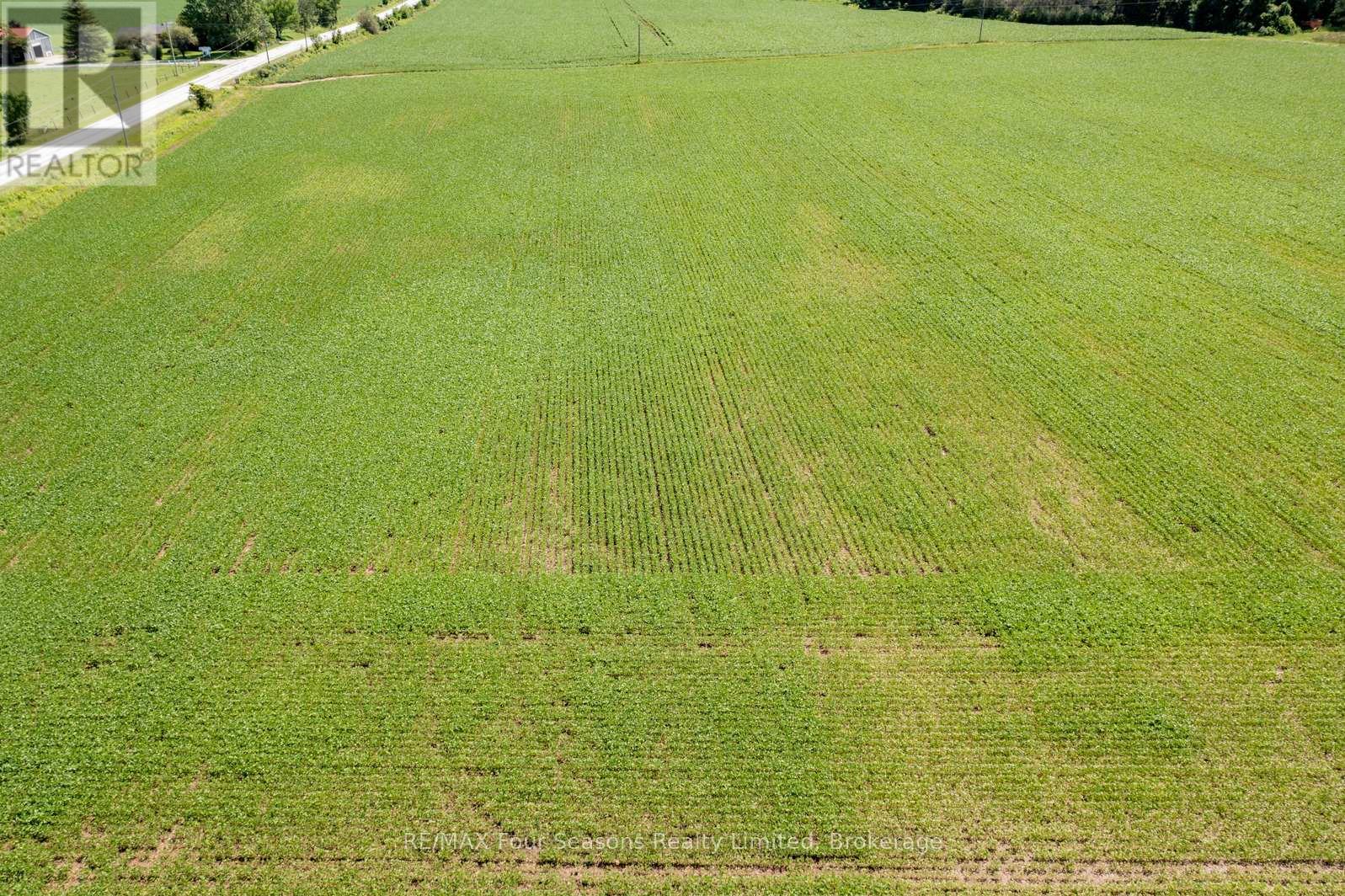 8483 36/37 Nottawasaga Side Road, Clearview, Ontario  L0M 1P0 - Photo 13 - S12354983