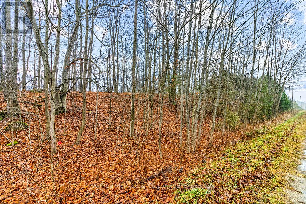 Ptlt 16; Part 2 16r6350 5 Side Road, Chatsworth, Ontario  N0H 1G0 - Photo 14 - X12357973