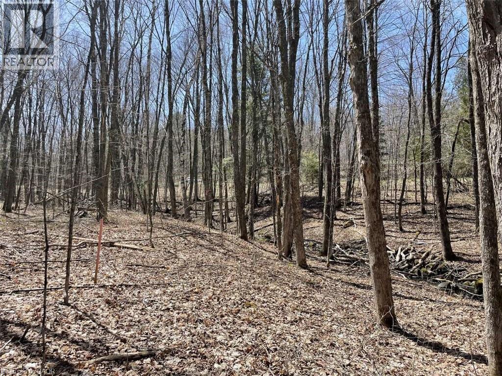 Lot 1 Colonial Road, Minden, Ontario  K0M 2K0 - Photo 5 - 40763425