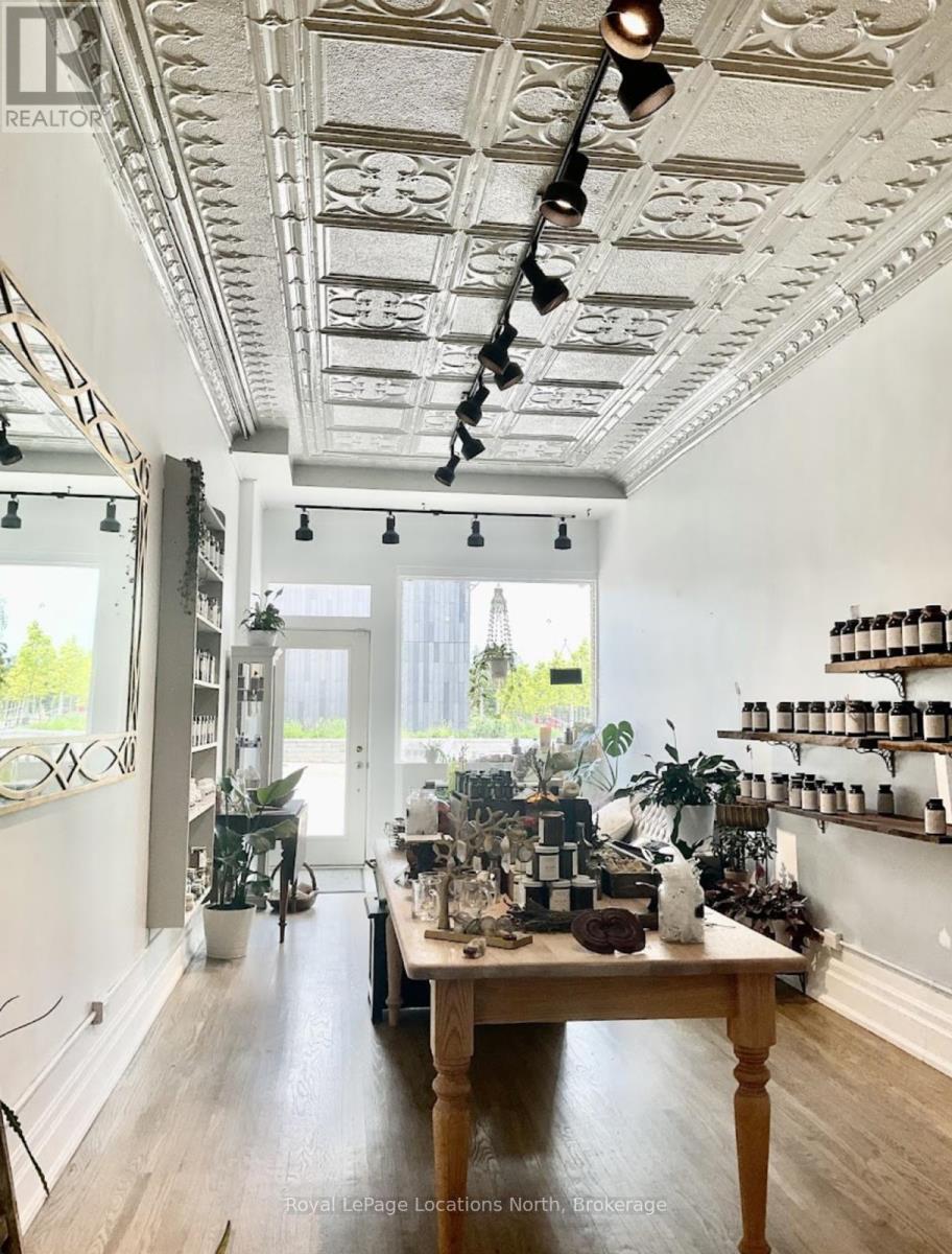 8 Sykes Street N, Meaford, Ontario  N4L 1V6 - Photo 33 - X12364532