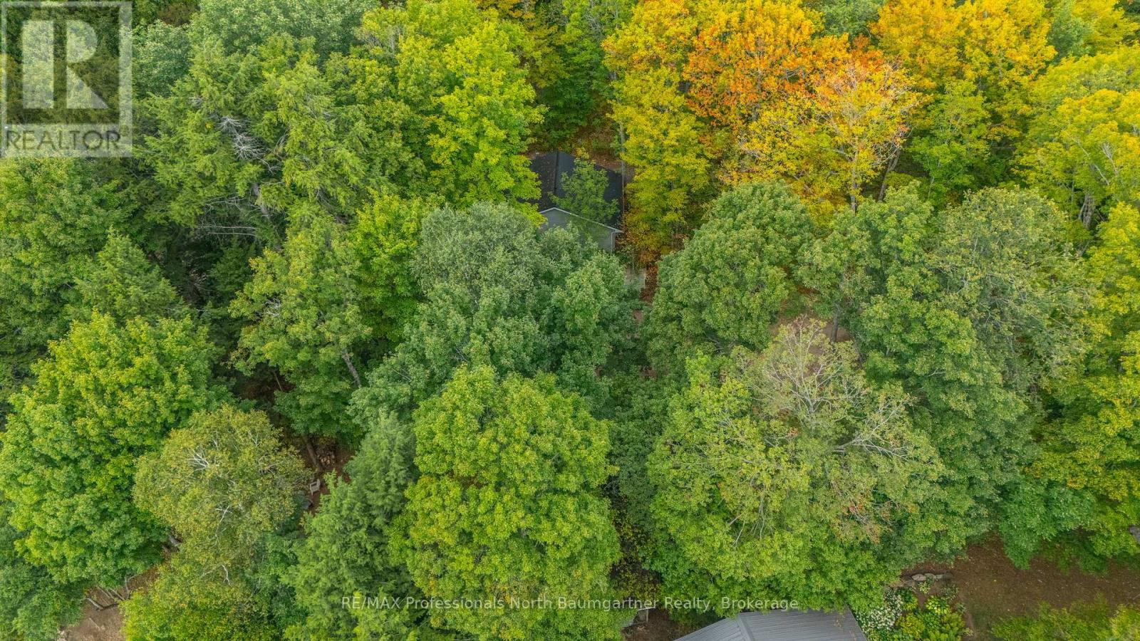 1005 Nomad Road, Dysart Et Al, Ontario  K0M 1S0 - Photo 31 - X12367256