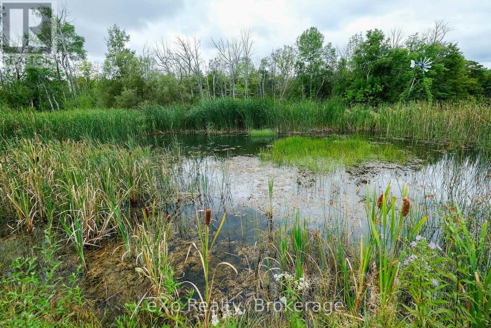 502032 Grey Road 1, Georgian Bluffs, Ontario  N0H 2T0 - Photo 29 - X12367318