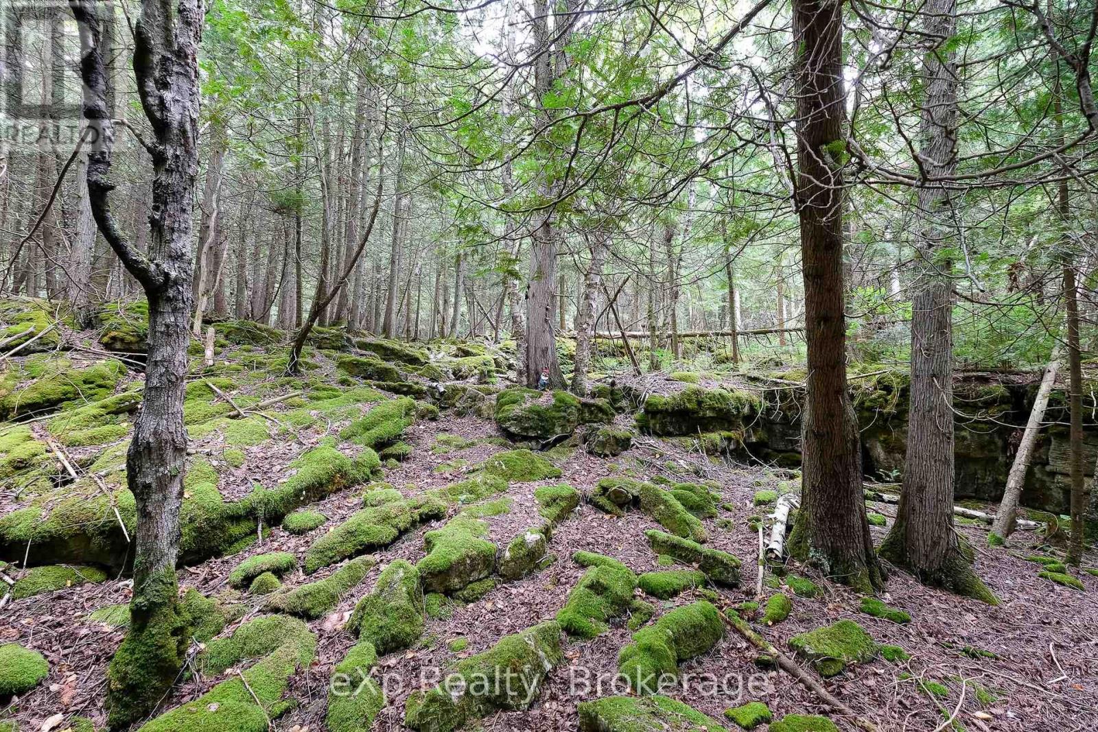 502032 Grey Road 1, Georgian Bluffs, Ontario  N0H 2T0 - Photo 39 - X12367318