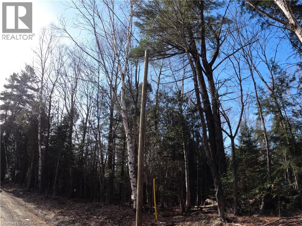50 Concession 2 And 3 Road W, Huntsville, Ontario  P1H 2J3 - Photo 6 - 40764132