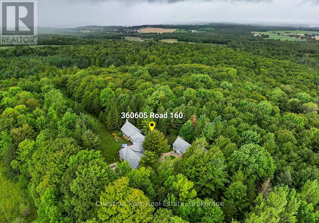 360605 160 Road, Grey Highlands, Ontario  N0C 1H0 - Photo 1 - X12369164