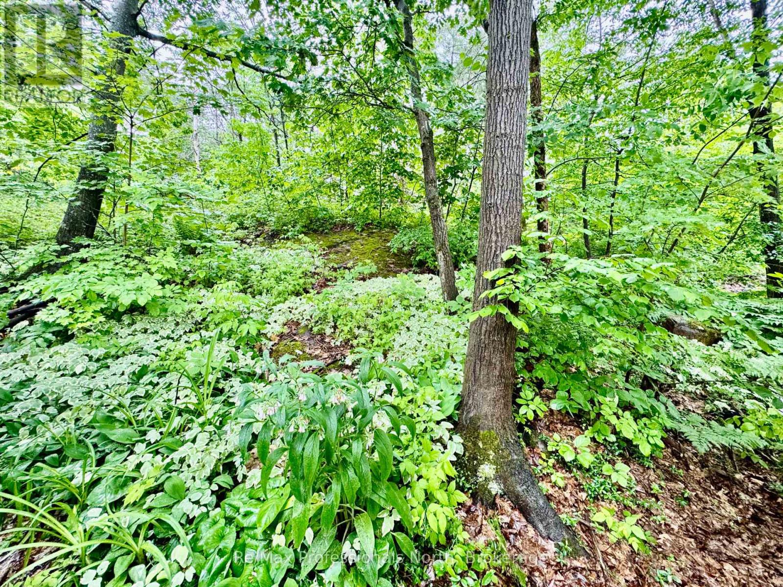 45 - 1007 Racoon Road, Gravenhurst, Ontario  P1P 1R1 - Photo 21 - X12370896