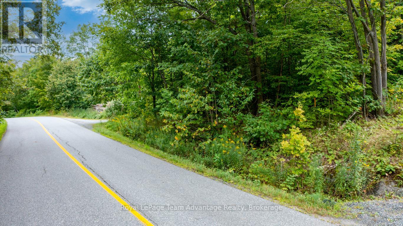 33 Pinewood Road, Mcdougall, Ontario  P2A 2W7 - Photo 4 - X12370997