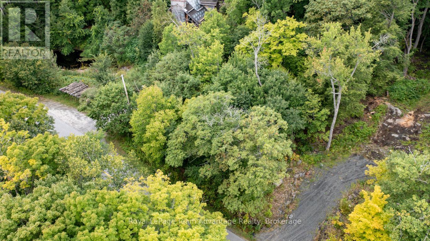 33 Pinewood Road, Mcdougall, Ontario  P2A 2W7 - Photo 5 - X12370997