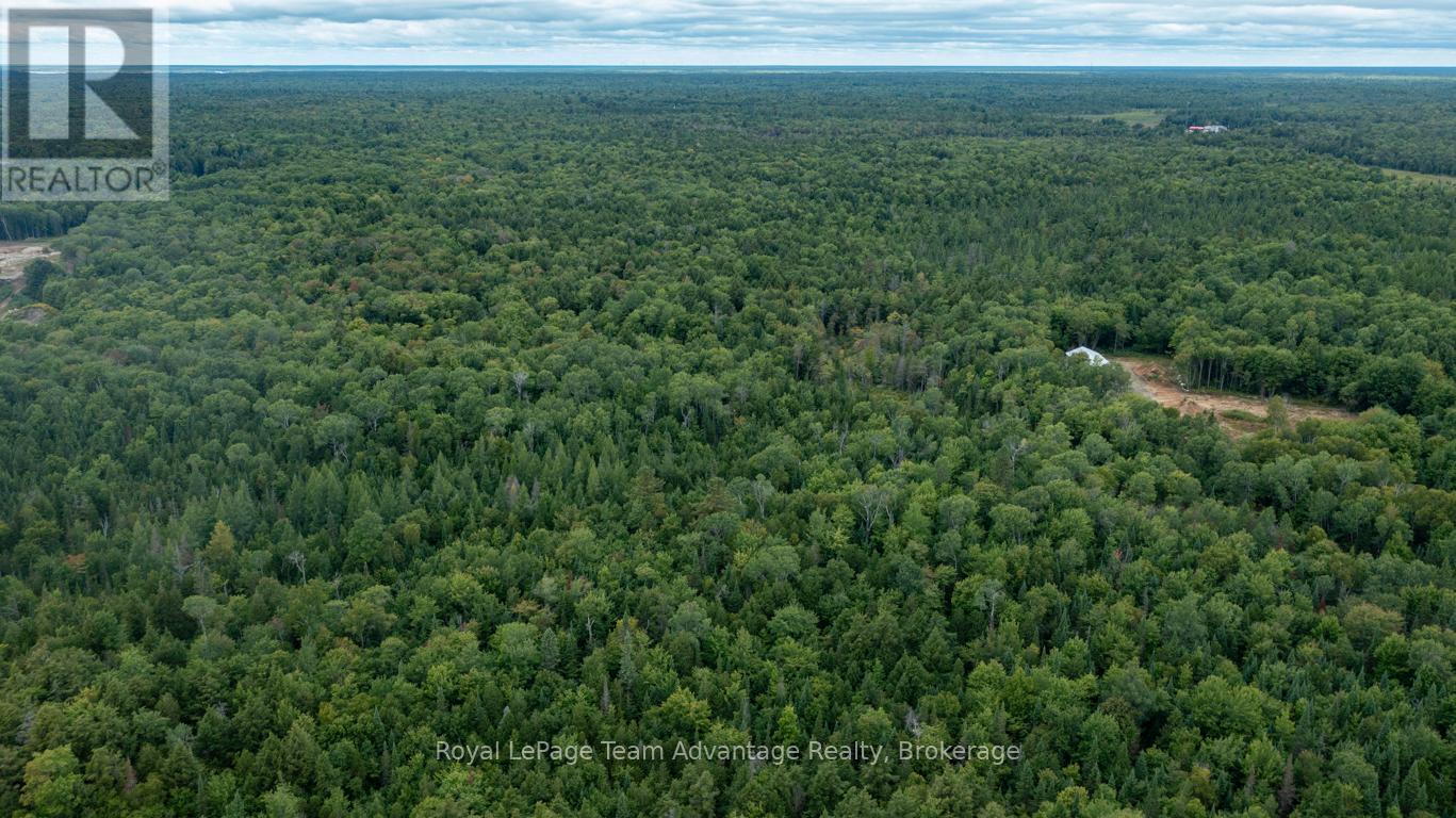 Lot 17 Skerryvore Community Road, The Archipelago, Ontario  P0G 1K0 - Photo 10 - X12371844