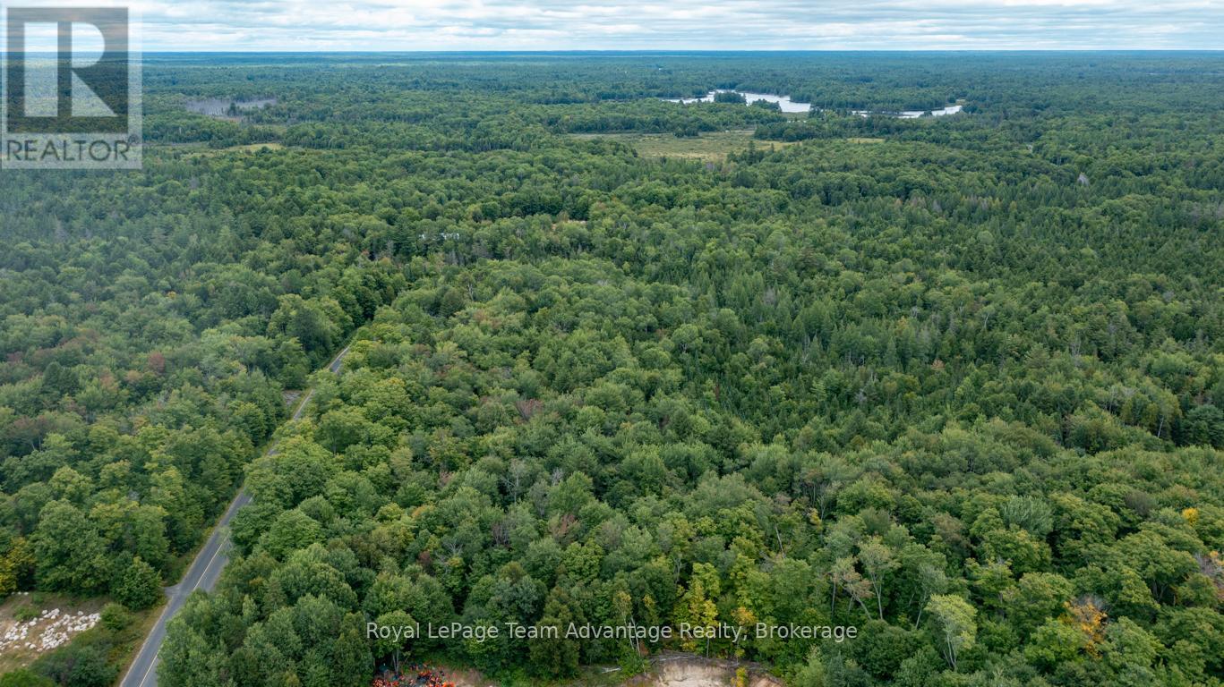 Lot 17 Skerryvore Community Road, The Archipelago, Ontario  P0G 1K0 - Photo 13 - X12371844