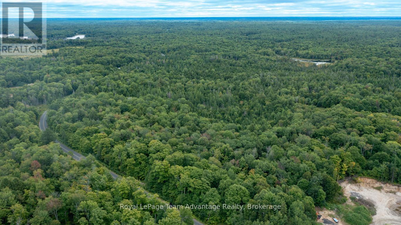 Lot 17 Skerryvore Community Road, The Archipelago, Ontario  P0G 1K0 - Photo 3 - X12371844