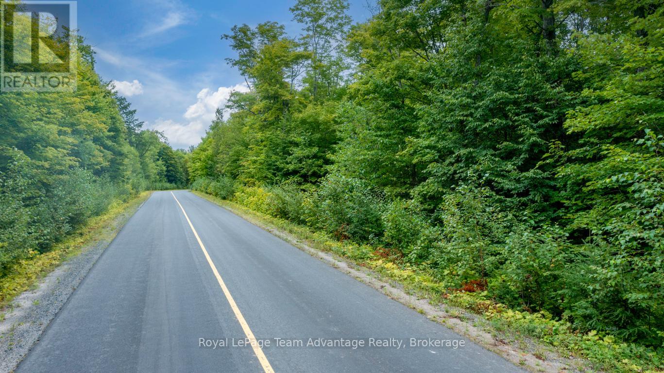 Lot 17 Skerryvore Community Road, The Archipelago, Ontario  P0G 1K0 - Photo 4 - X12371844
