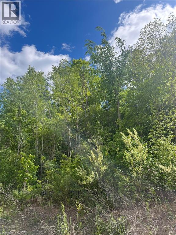 82 Quarry Park Drive, Kitchener, Ontario  N2B 3J7 - Photo 26 - 40765322