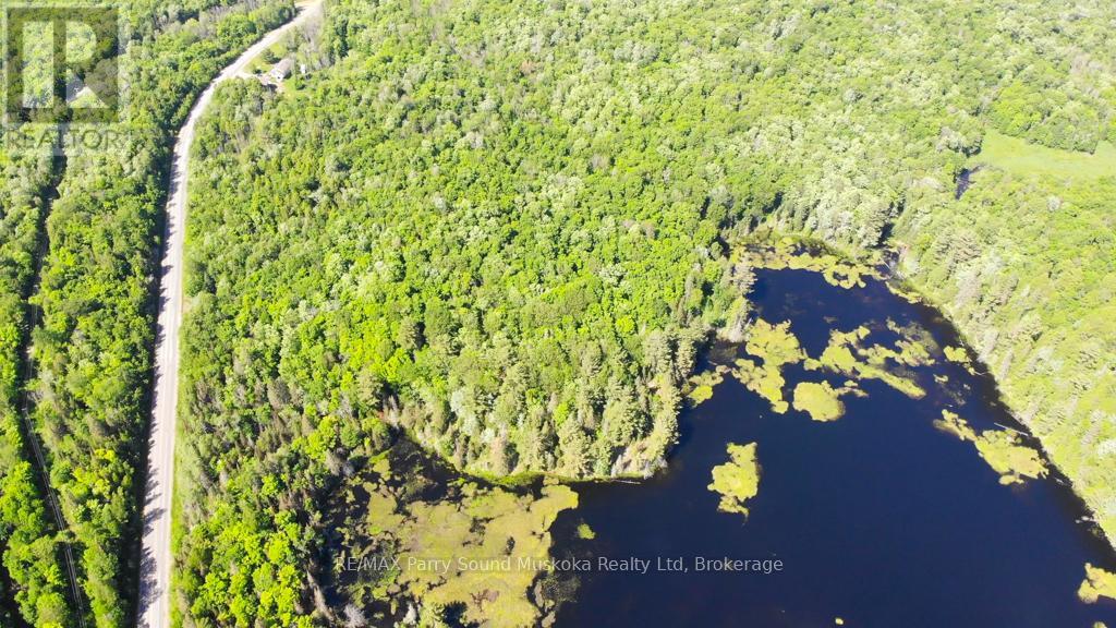 123 Hwy 520, Whitestone, Ontario  P0A 1G0 - Photo 8 - X12376598