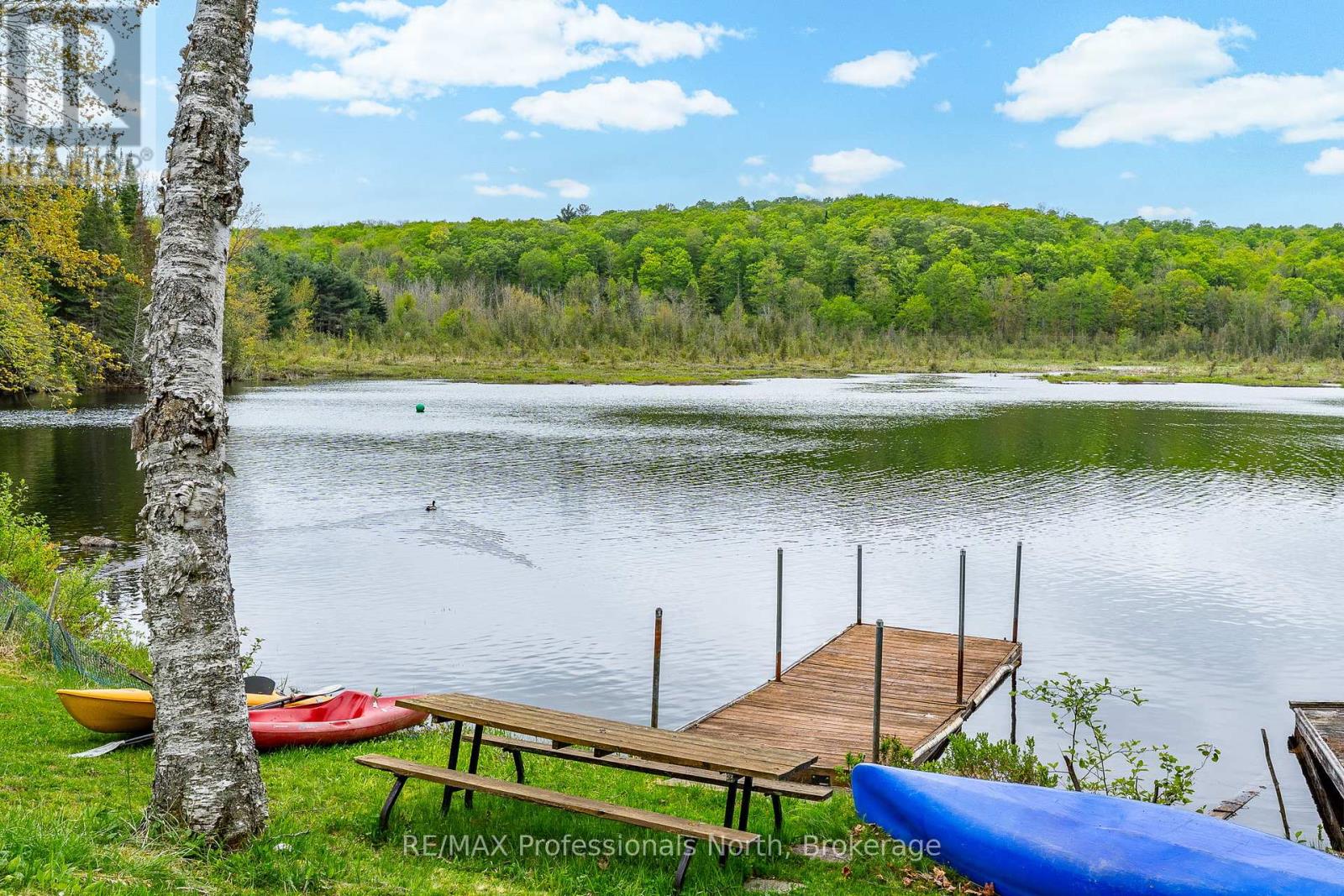 3539 County Road 21, Minden Hills, Ontario  K0M 1S0 - Photo 39 - X12376919