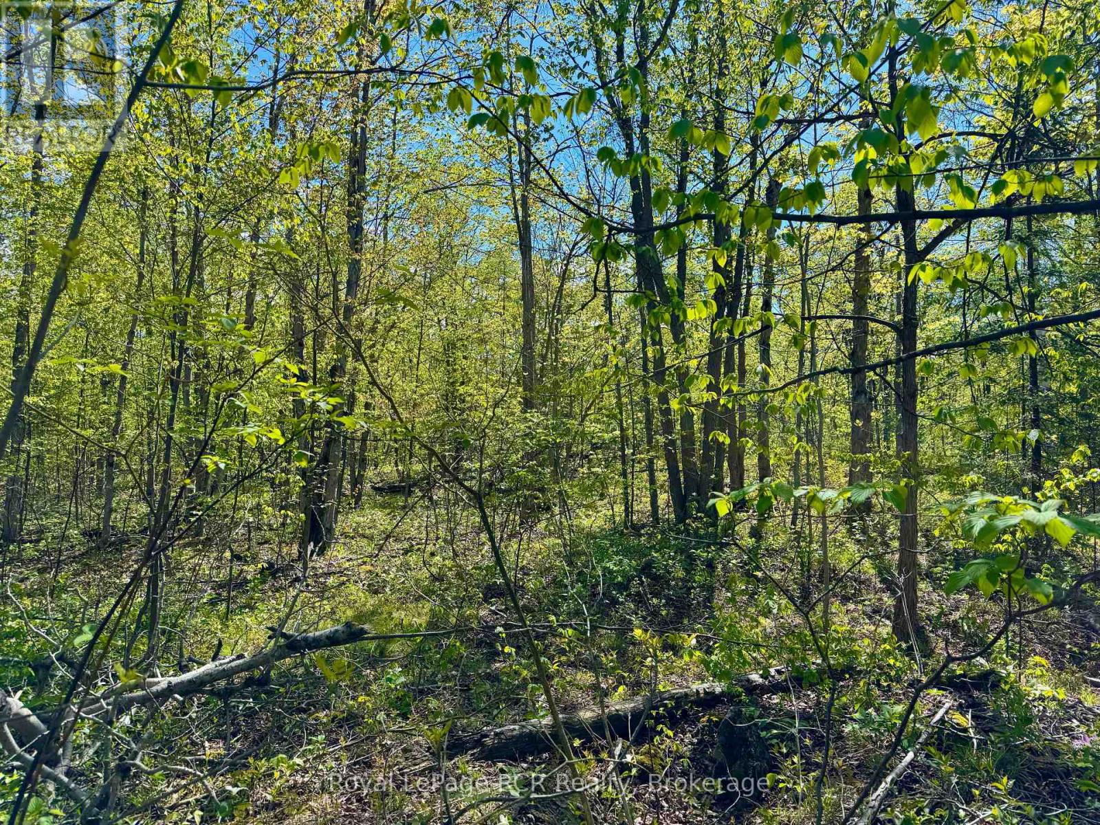 2248 Bruce Rd 9 Road, Northern Bruce Peninsula, Ontario  N0H 1W0 - Photo 19 - X12379418