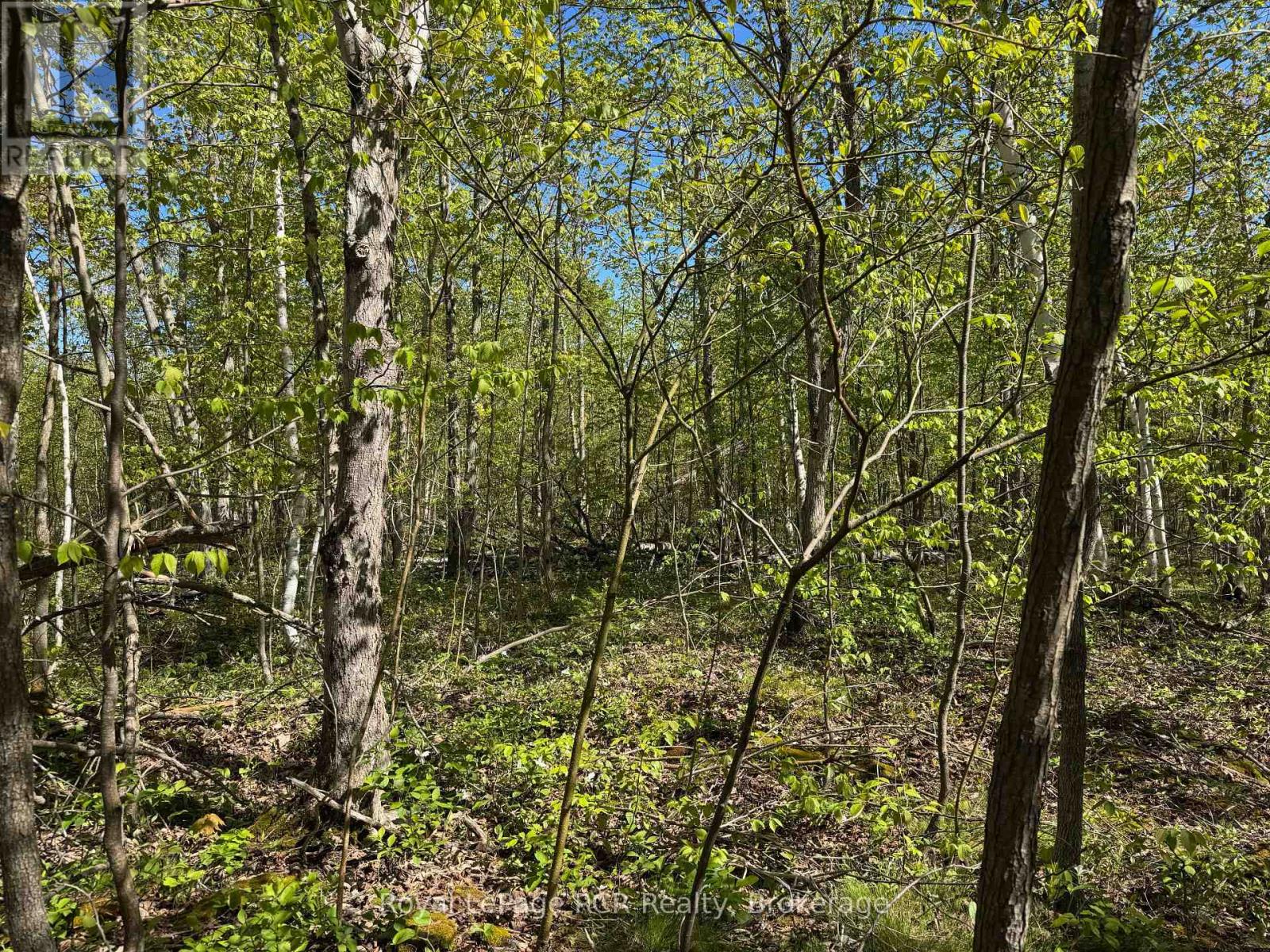 2248 Bruce Rd 9 Road, Northern Bruce Peninsula, Ontario  N0H 1W0 - Photo 20 - X12379418