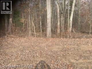 764 Forestry Road, Simcoe, Ontario  N0E 1P0 - Photo 4 - 40762014