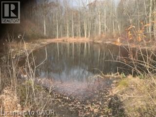 764 Forestry Road, Simcoe, Ontario  N0E 1P0 - Photo 5 - 40762014