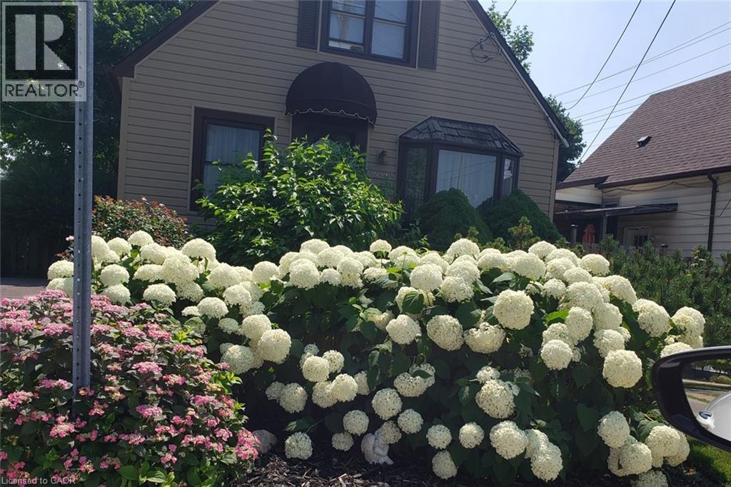 251 East 31st Street, Hamilton, Ontario  L8V 3P6 - Photo 2 - 40766120