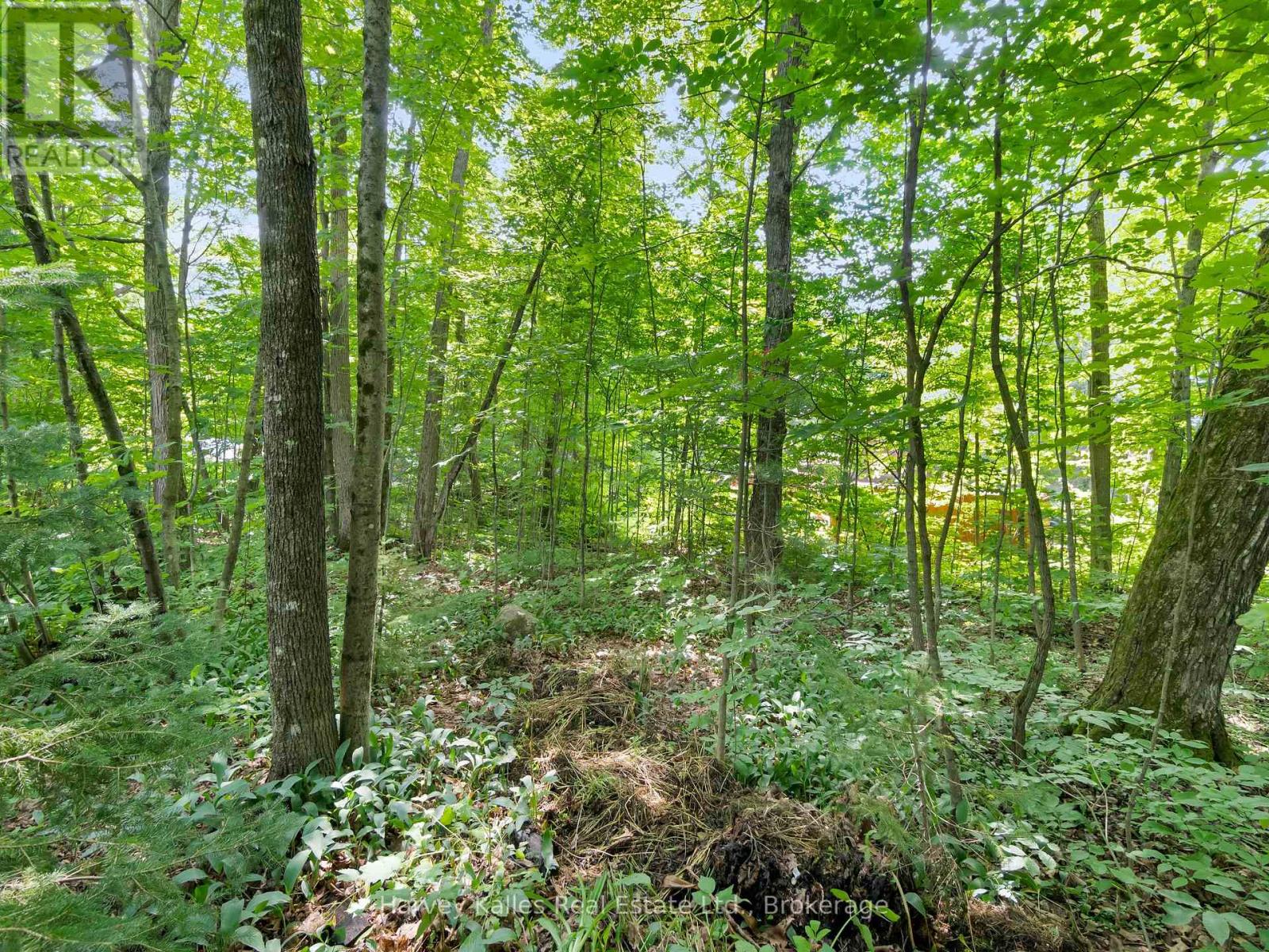 0 Ash Street, Seguin, Ontario  P0C 1J0 - Photo 3 - X12382836