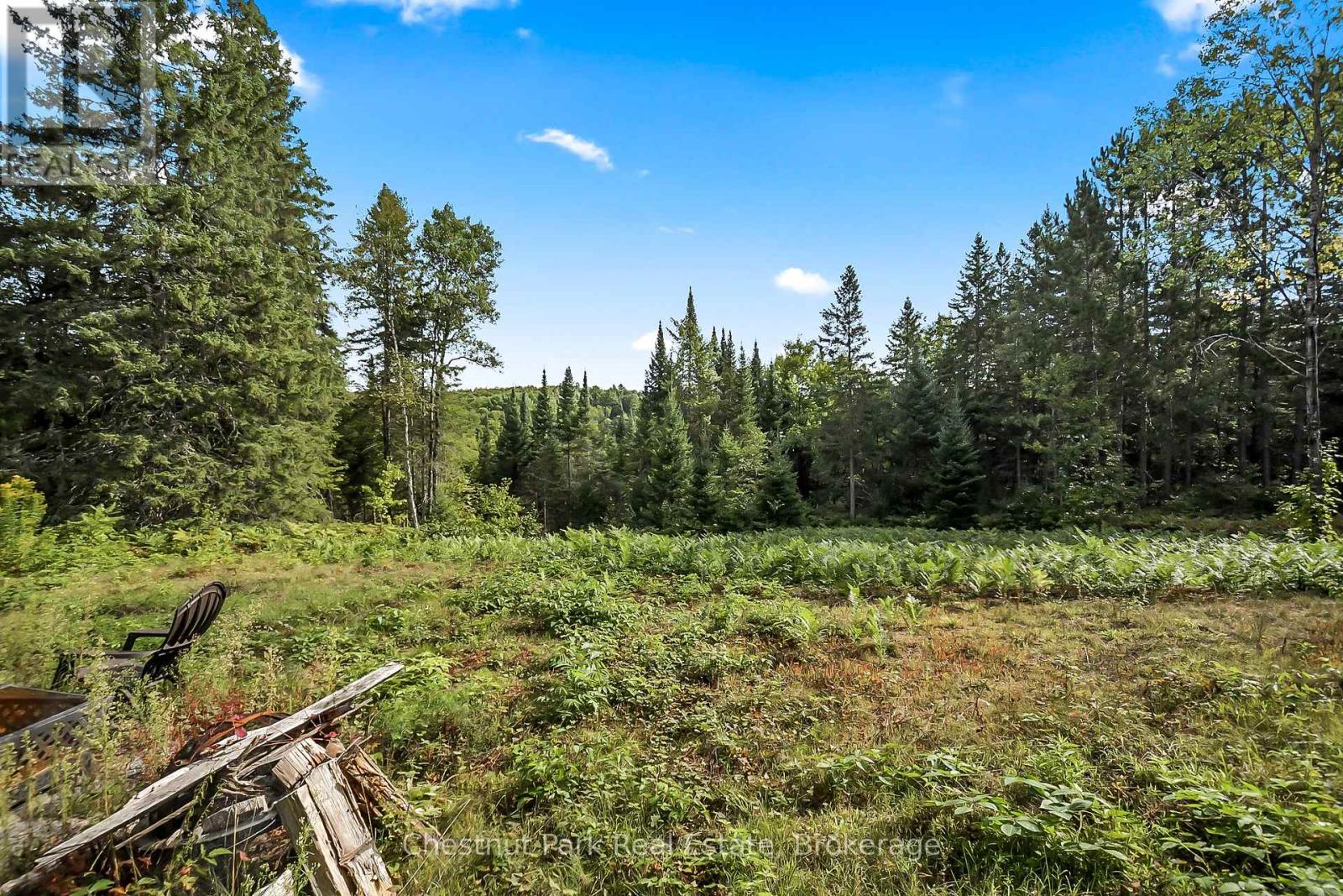 1363 Williamsport Road, Huntsville, Ontario  P1H 2J4 - Photo 44 - X12383089