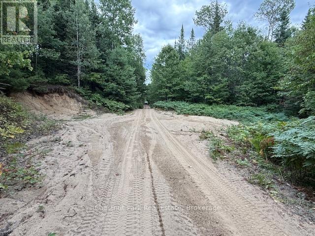 755 Concession 4 & 5 Road E, Huntsville, Ontario  P1H 2J3 - Photo 15 - X12385578