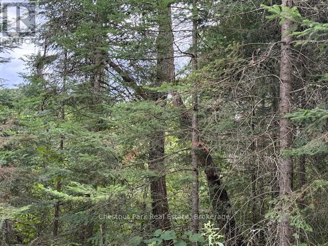 755 Concession 4 & 5 Road E, Huntsville, Ontario  P1H 2J3 - Photo 20 - X12385578