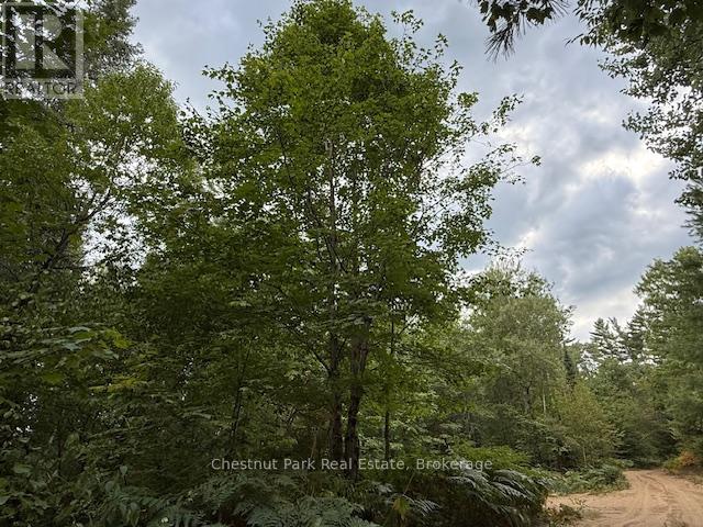 755 Concession 4 & 5 Road E, Huntsville, Ontario  P1H 2J3 - Photo 27 - X12385578