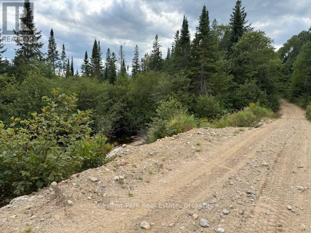 755 Concession 4 & 5 Road E, Huntsville, Ontario  P1H 2J3 - Photo 34 - X12385578