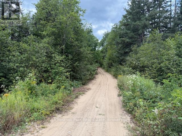 755 Concession 4 & 5 Road E, Huntsville, Ontario  P1H 2J3 - Photo 36 - X12385578