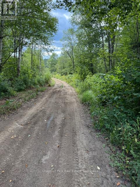 755 Concession 4 & 5 Road E, Huntsville, Ontario  P1H 2J3 - Photo 44 - X12385578