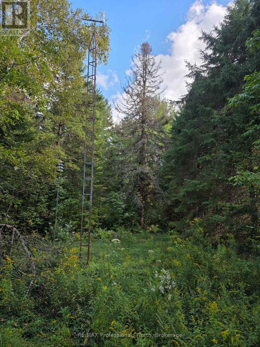 671 Lynx Lake Road, Huntsville, Ontario  P1H 2J3 - Photo 10 - X12387213